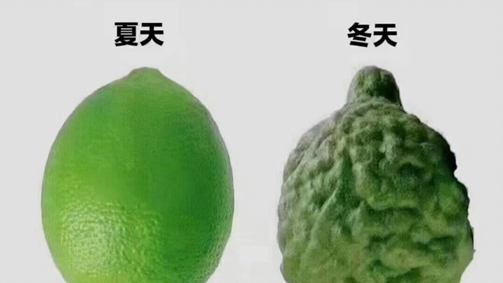 趣图3