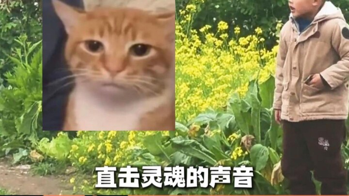 A soul-stirring voice—come back when you have time! I’d like to buy osmanthus and share wine with yo