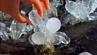 هل أصبح أكثر برودة؟ أريد اللعب بالثلج!