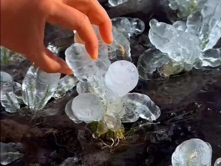 Is it cooler now? I want to play with ice!