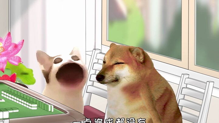 หากคุณพลาดการ์ดบางใบเกมก็จะจบลง