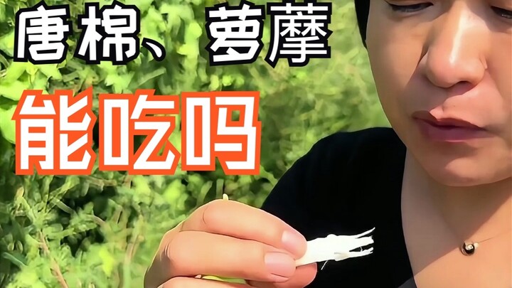 Introducing Two Plants from the Apocynaceae Family