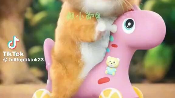 แมวน่ารักมากก