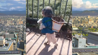 CUTE PET #น่ารัก&ตลก #ไปไหน