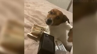 Đỡ không nổi những tình huống khó đỡ #64