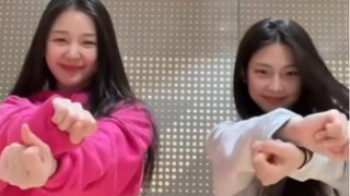 【BABYMONSTER】Ruka×Pharita《flower》舞蹈挑战