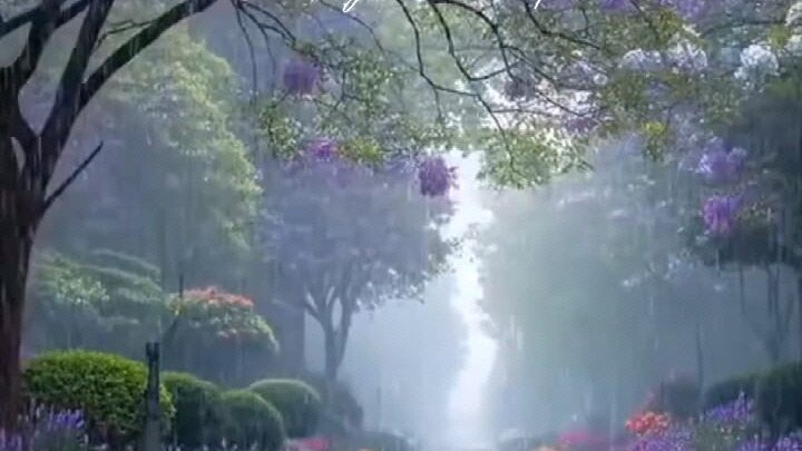 চমৎকার তেলাওয়াত