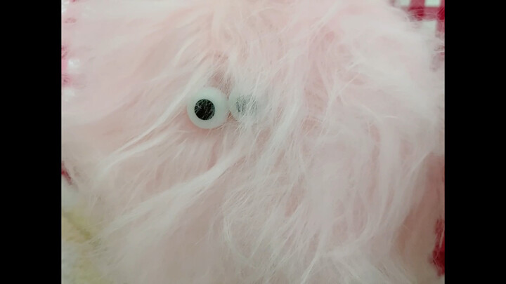 Sharing a cute little fluffball. I’ll record it with my gear next time… orz