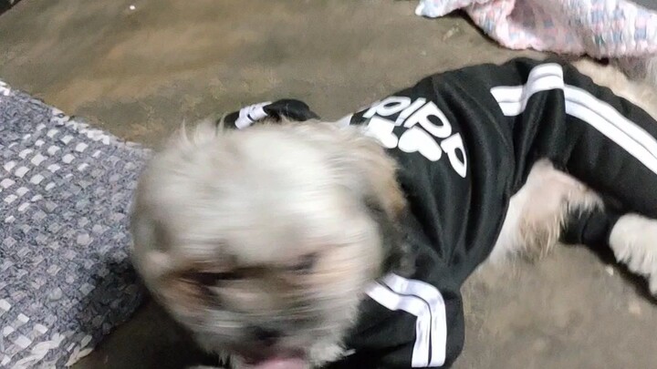 purorong sa new pogi points dress nya🥰😂