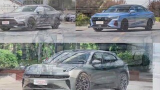 [ภาพวาดด้วยมือ] ASHES Ashes - สมุดภาพรายสัปดาห์ 8