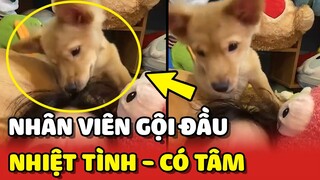 Cười xỉu với chú chó biết phụ Sen LÀM VIỆC NHÀ nhưng lạ lắm 😂 | Yêu Lu