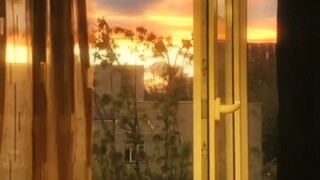 世间的柔情与温柔   记得给父母留一份