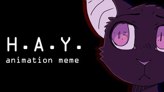 H.A.Y. - Ravenpaw