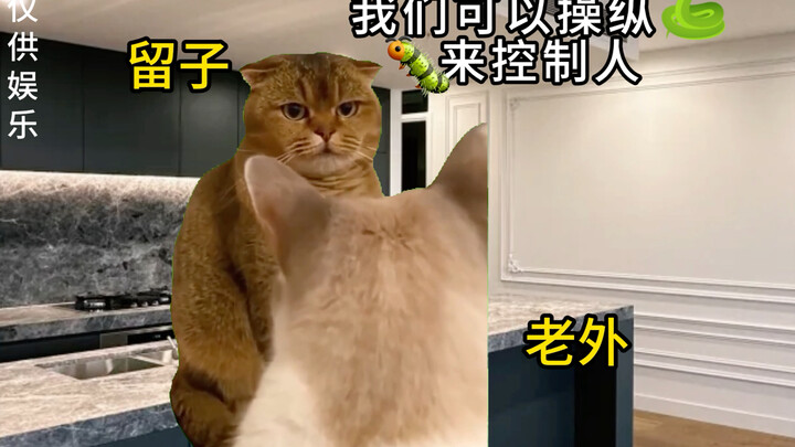 Some foreigners believe whatever the influencers say.