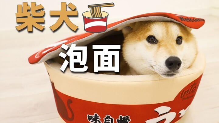 ชิบะอินุกับบะหมี่สำเร็จรูป วิดีโอไดอารี่ของเจ้าชิบะโคฮารุ ตอนที่ 2