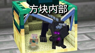 When I can enter inside any block—even modded blocks! Minecraft