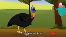 The World’s Most Dangerous Bird - The Cassowary | Modern Day Dinosaurs | The Dr. Binocs Show