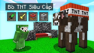 Minecraft Bedwars, Nhưng Sở Hữu TNT Động Vật Siêu Cấp *Sở Hữu Súng Bong Bóng Vip Troll Noob Team