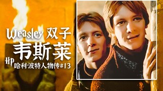 [Tiểu sử nhân vật Harry Potter 13] Biết được điều này, bạn có còn thích anh em sinh đôi nhà Weasley 