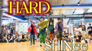 还得是二代！4人成团的【SHINee新歌HARD】 高质量全国首路演现场 浙大二代粉丝帮温流打歌