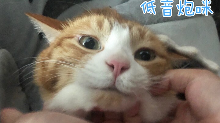 【A Mi】Hãy cùng cảm nhận tuyển tập những màn hú hét cực đã đến mức phải “mở miệng là gục”