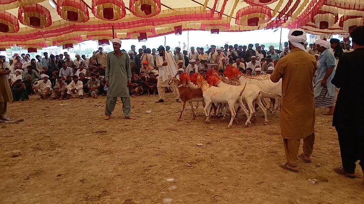 روشنی سے محروم... چارپائی پر خاموش لیٹا یہ ناراض معصوم بچہ! 🥺💔😔
