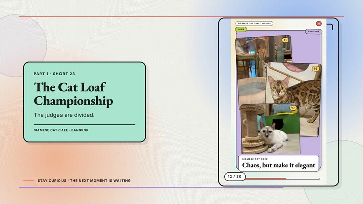 Siamese Cat Café #12 — The Cat Loaf Championship + Employee of the Month