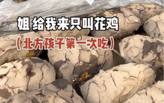 东北街边三十一整只叫花鸡～