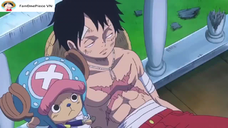 Cả team oánh nhau mà Luffy vẫn ngủ [AMV] #anime #onepiece #daohaitac