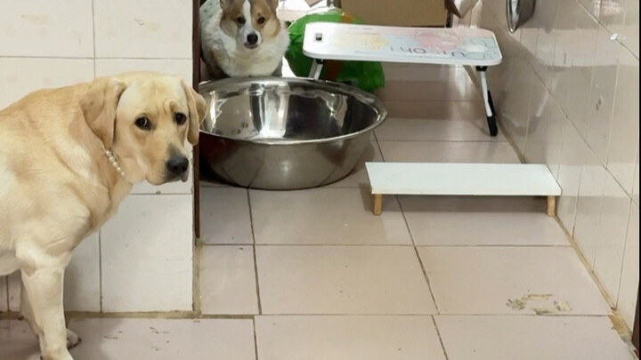 Đường đến bữa ăn gặp muôn vàn trở ngại