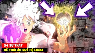 34 SỰ THẬT VỀ TRÁI ÁC QUỶ HỆ LOGIA - One Piece