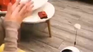 ตอนนี้หุ่นยนต์เก่งขนาดนี้แล้วเหรอ ถึงขั้นซื้อชานมได้เองเลยเหรอ?