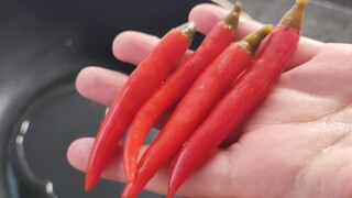 وجبة بـ 2 يوان