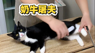 Chồng tôi muốn đổi nghề để bán thịt lợn nhưng tôi từ chối