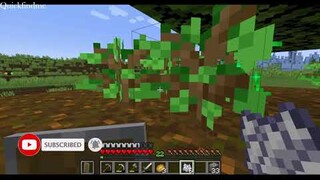 How to grow trees in Survival Mode 1.18 Minecraft | Quickfinder