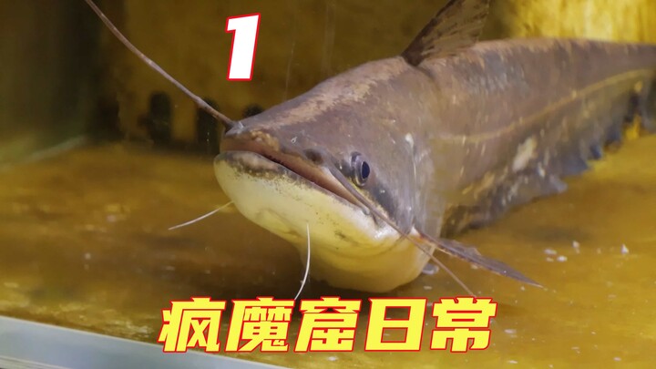 สมาชิกค่ายบ้าคลั่งให้อาหาร น้องมังกรนมยังคงฟอร์มแน่นอนเหมือนเดิม!