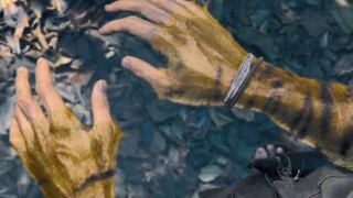 猎人被虎抓伤，搜山5年没结果，低头一看老虎竟是他自己！