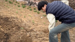 北方的土