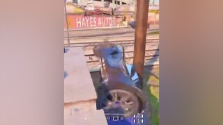 ใครเห็นก้ว่าเกม ทีมลุงเดี่ยว tiktok วัยรุ่นfivem ตะหลิว GTA tiktokเกมมิ่ง