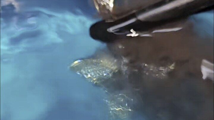 Immersive Jewelry Cleaning – A Stress-Relief Video