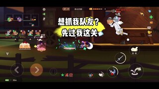 猫和老鼠手游：要抓我队友？先从我尸体上过
