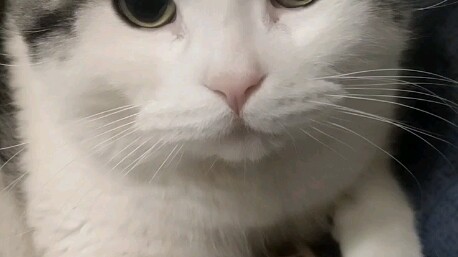 Who knows how he learned it?