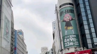 [ SPY×FAMILY ] TV anime official Shibuya advertisement! Line up~