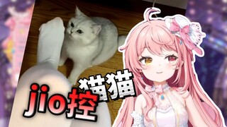 我的猫是jio控!？