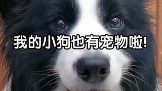 أنت ما زلت بارعًا في الاختيار!