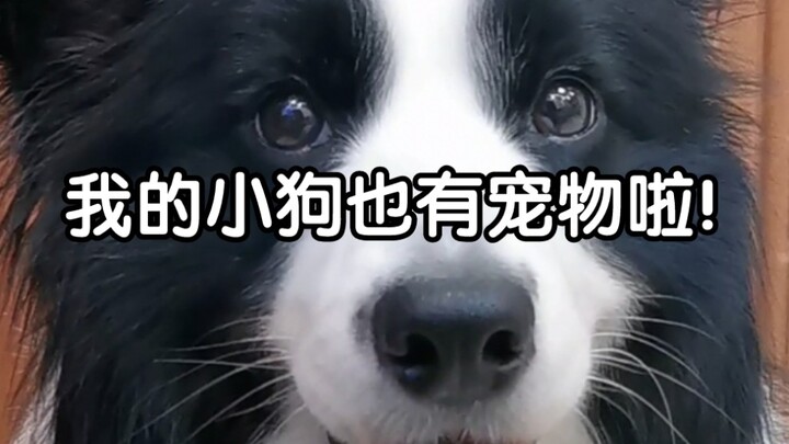 You're still pretty good at picking things!