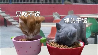 When I meet my boyfriend, whom I haven't seen during the holiday