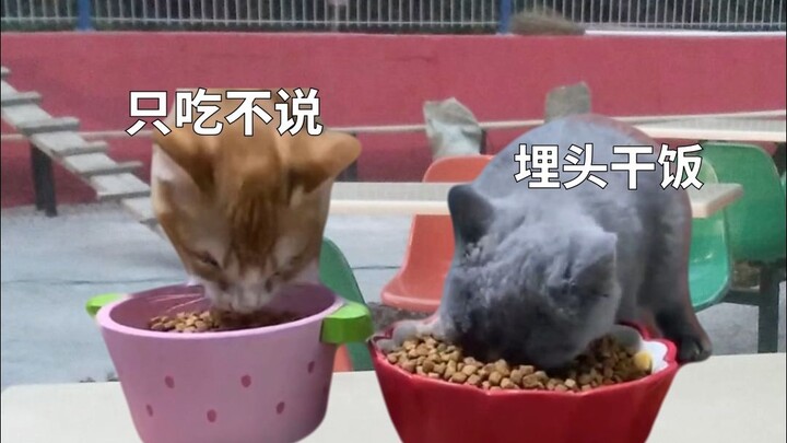 عندما التقيت بصديقي الذي لم أره طوال العطلة