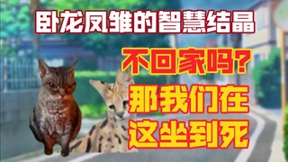 【猫meme】关于警察叔叔使用了超绝五连怼这件事