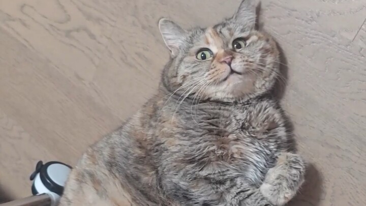 คน คุณรู้ไหมว่าหมีหลับไปหนึ่งวันมันเหนื่อยแค่ไหน?